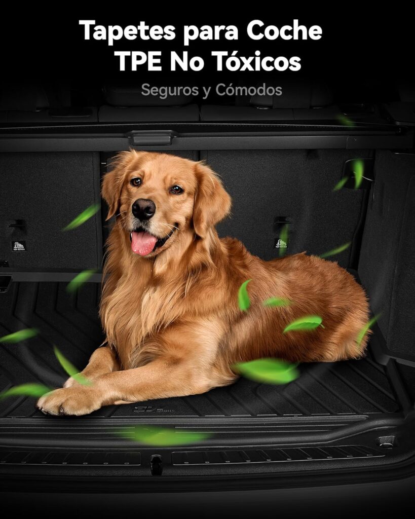 Juego de alfombrillas Eco-Friendly - Accesorios Tesla